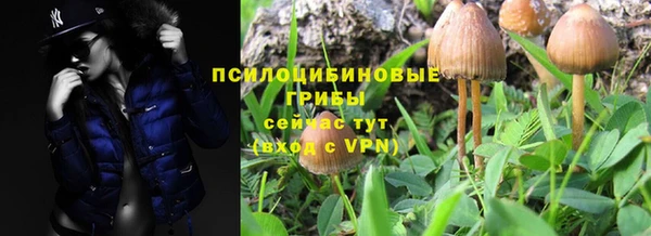 mix Кодинск