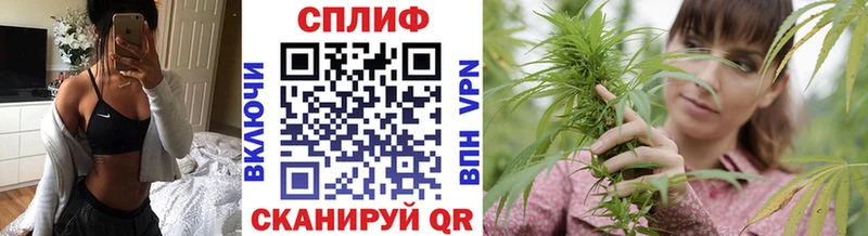 Шишки марихуана план  Купить где  Дигора 
